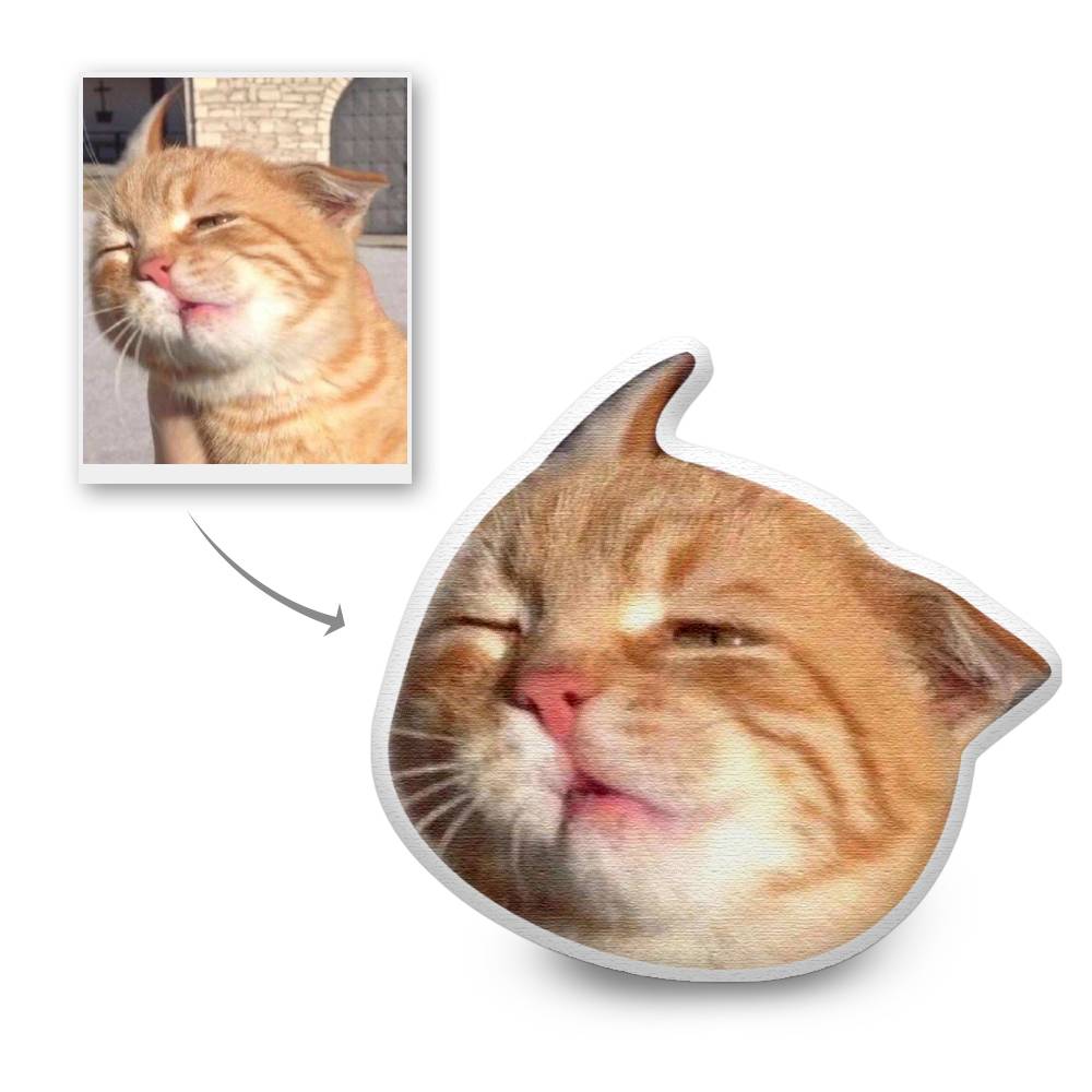 Custom Head Photo Funny Face Pillow 3d Portrait Pillow - Mademine 