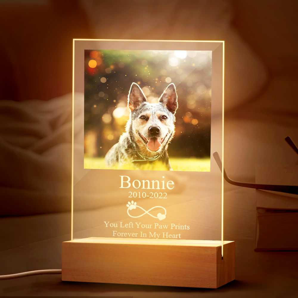 Custom Acrylic Night Light Persoanlized Pet Dog Memorial Led Lamp ...