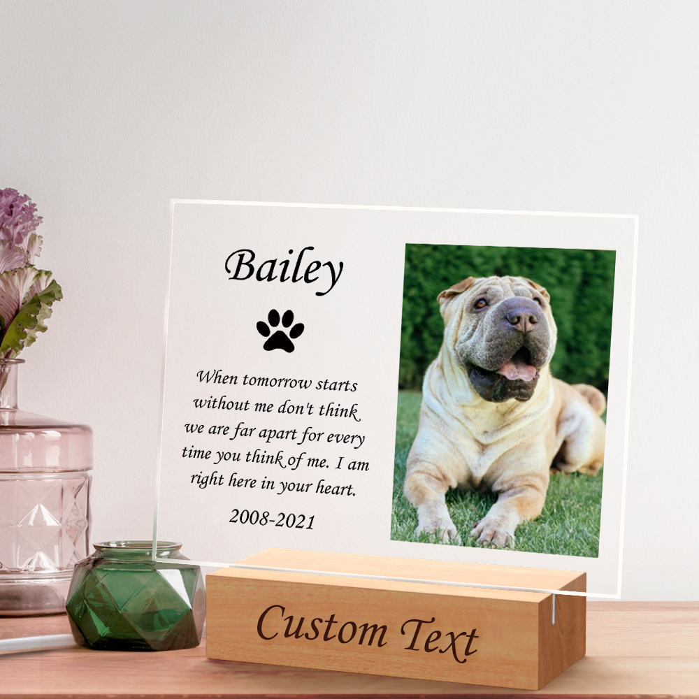 Custom Pet Memorial Night Light Personalized Bedroom Decor - MadeMine ...